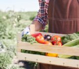 Alimentación local y sostenibilidad en Rumanía