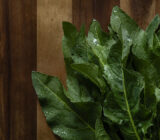 Ingrediente de la temporada: Stevia