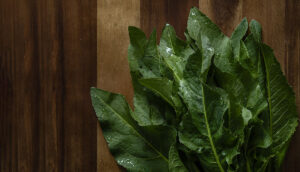 Ingrediente de la temporada: Stevia